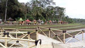 Berkunjung ke Desa dengan Deretan Gazebo Cantik di Semarang