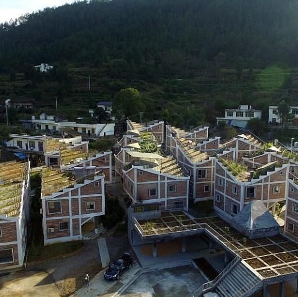 Inspiratif! Desa di China yang Bercocok Tanam di Atap Rumah Inspiratif! Desa di China yang Bercocok Tanam di Atap Rumah