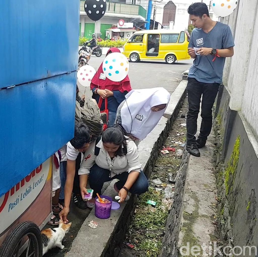 Asyiknya Ikut Aksi Beri Makan Komunitas Sukabumi Cat Lover Asyiknya Ikut Aksi Beri Makan Komunitas Sukabumi Cat Lover