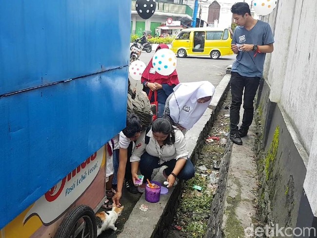 Asyiknya Ikut Aksi Beri Makan Komunitas Sukabumi Cat Lover Asyiknya Ikut Aksi Beri Makan Komunitas Sukabumi Cat Lover