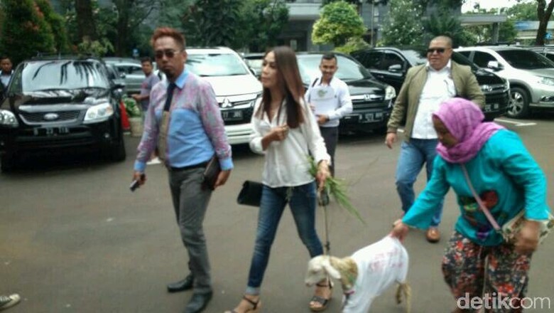 Mbeek... Ini Momen Razman-Putri Stagi Gandeng Kambing ke Polda Metro Mbeek... Ini Momen Razman-Putri Stagi Gandeng Kambing ke Polda Metro