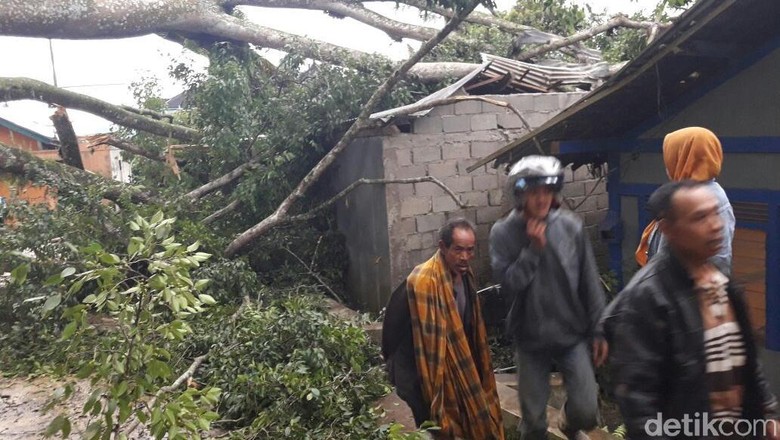 Terancam Pohon Tumbang, Belasan Rumah di Banjarnegara Dikosongkan Terancam Pohon Tumbang, Belasan Rumah di Banjarnegara Dikosongkan