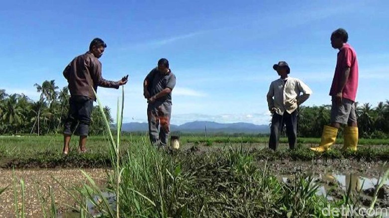 Meski Berbahaya, Semburan Gas di Purworejo Bisa Bermanfaat