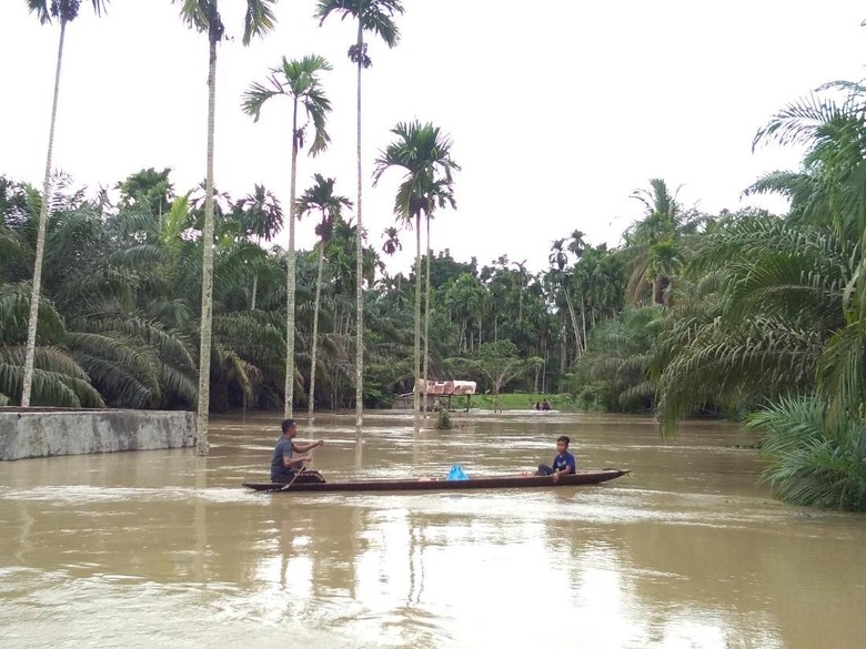 Banjir di Aceh Utara Meluas, Landa 19 Kecamatan Banjir di Aceh Utara Meluas, Landa 19 Kecamatan