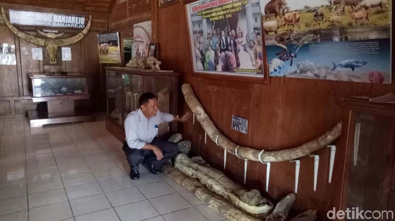 Fosil Purba di Banjarejo Grobogan Tersimpan Seadanya