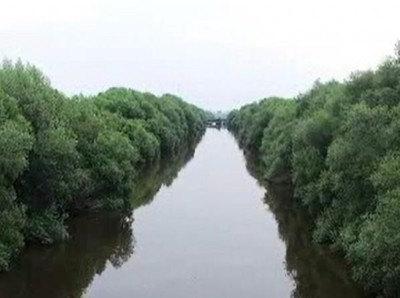 Melepas Penat di Hutan Mangrove Jakarta Melepas Penat di Hutan Mangrove Jakarta