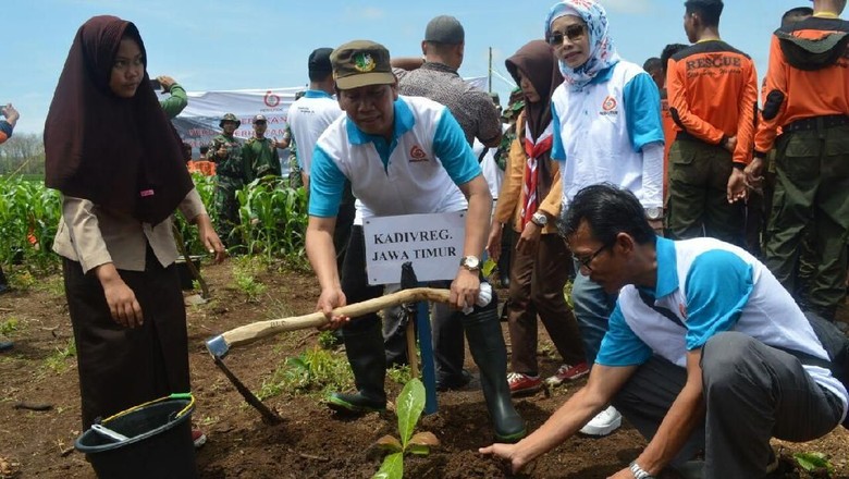 Jaga Konservasi, 11,5 Juta Bibit Tanaman Ditanam di Banyuwangi Jaga Konservasi, 11,5 Juta Bibit Tanaman Ditanam di Banyuwangi