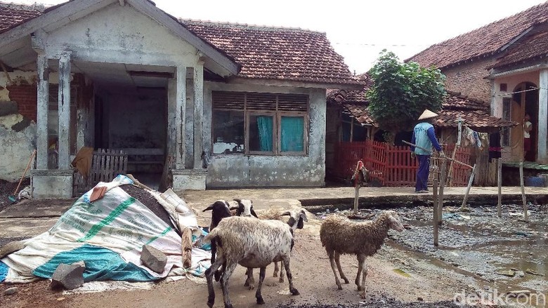 Puskesmas Disebut Seperti Kandang Kambing, Kades: Pelayanannya Mandeg Puskesmas Disebut Seperti Kandang Kambing, Kades: Pelayanannya Mandeg