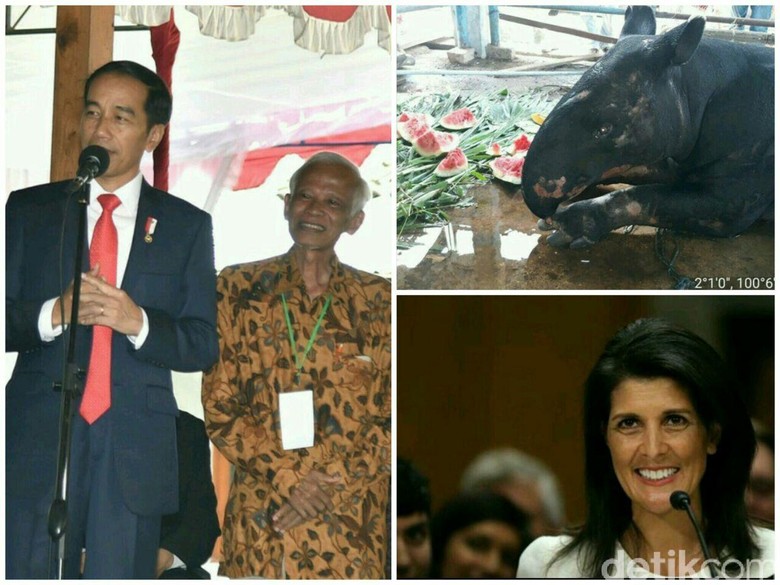 AS Gunakan Veto Soal Palestina, Jokowi Nostalgia di Kampus AS Gunakan Veto Soal Palestina, Jokowi Nostalgia di Kampus