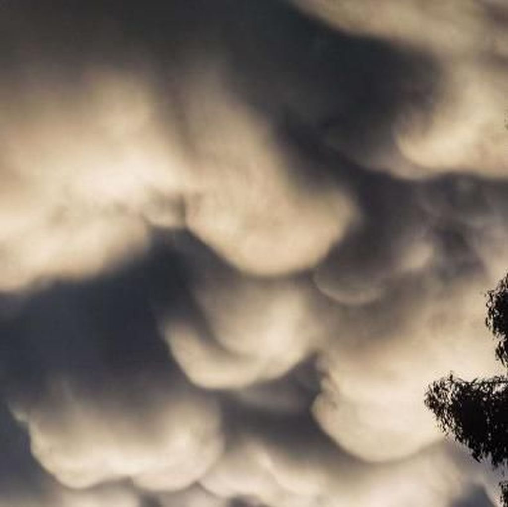 Awan Mammatus Hiasi Langit Kota Melbourne Awan Mammatus Hiasi Langit Kota Melbourne