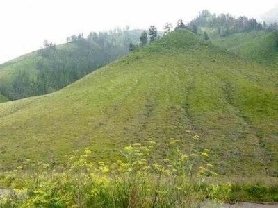 Beginilah Keindahan Bukit Teletubbies di Bromo Beginilah Keindahan Bukit Teletubbies di Bromo