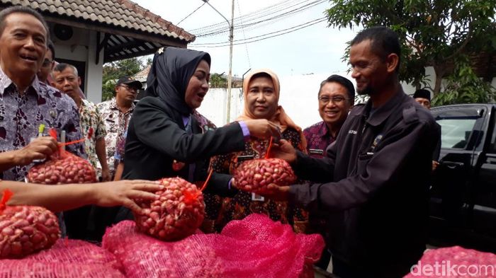 Foto: Imam Suripto Foto: Imam Suripto