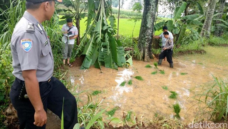 Lima Petani Tersambar Petir di Jepara, Satu Tewas Lima Petani Tersambar Petir di Jepara, Satu Tewas