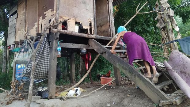 Kisah Nenek di Bone yang Tinggal di Gubuk Reyot Bersama Anaknya