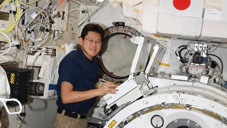 Usai Mengaku Bertambah Tinggi 9 Cm, Astronot Jepang Minta Maaf Usai Mengaku Bertambah Tinggi 9 Cm, Astronot Jepang Minta Maaf