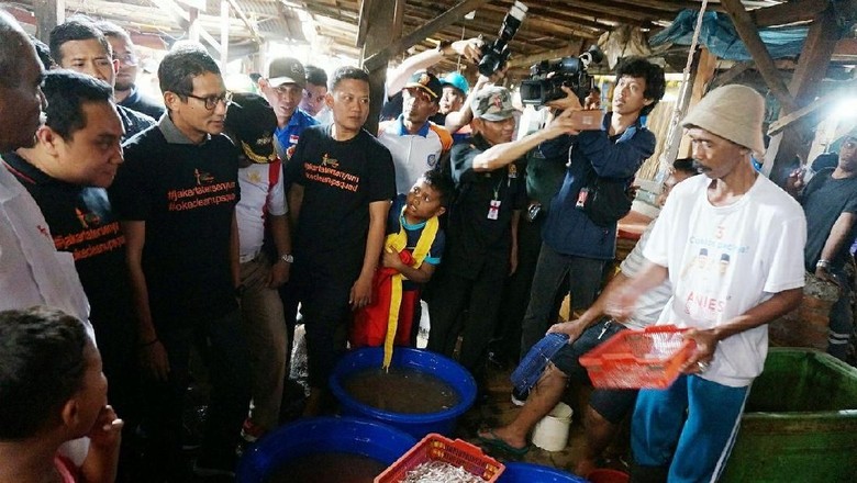 Sandi Diusulkan Ubah Kampung Pesisir Jadi Tsukiji Market di Jepang Sandi Diusulkan Ubah Kampung Pesisir Jadi Tsukiji Market di Jepang