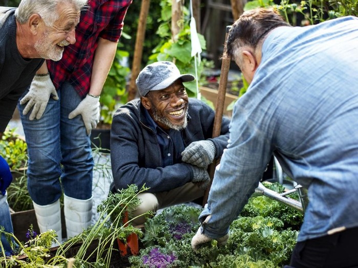 Studi menunjukkan bahwa berkebun bisa membuat pria lansia lebih sehat, terutama kesehatan mentalnya. Foto: Thinkstock Studi menunjukkan bahwa berkebun bisa membuat pria lansia lebih sehat, terutama kesehatan mentalnya. Foto: Thinkstock
