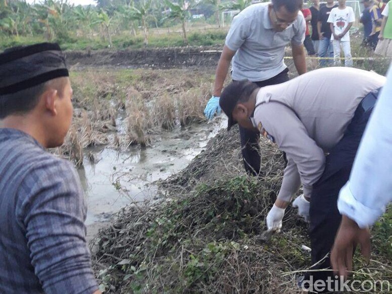 Polisi Selidiki Penemuan Kerangka Manusia di Persawahan di Tangerang Polisi Selidiki Penemuan Kerangka Manusia di Persawahan di Tangerang