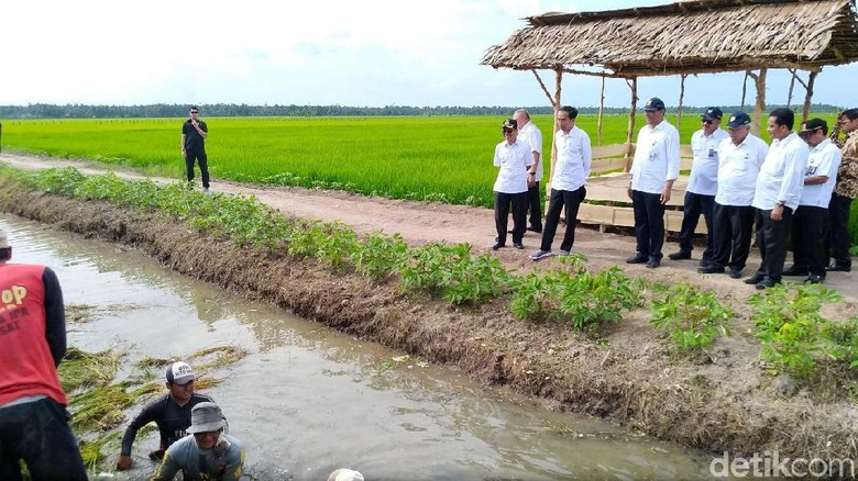 Ular Mungil dan Kaos Terbang Saat Jokowi Sambangi Banyuasin