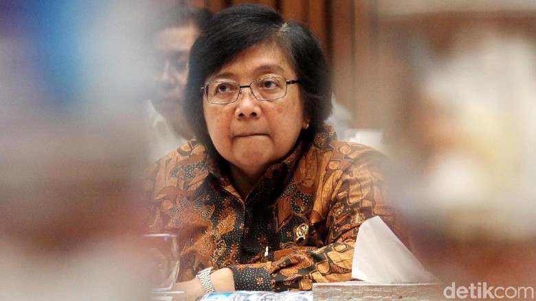 KLHK Siapkan Sanksi ke Pertamina soal Minyak Tumpah di Balikpapan KLHK Siapkan Sanksi ke Pertamina soal Minyak Tumpah di Balikpapan