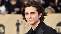 Timothee Chalamet Soal Adegan Syur Sejenis di Call Me By Your Name