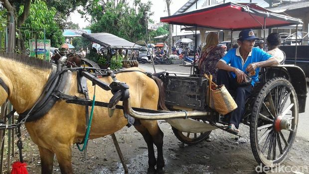 Beberapa orang masih bertahan jadi kusir andong/