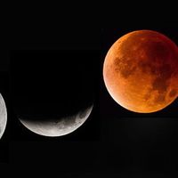 LAPAN Gelar Nobar Super Blue Blood Moon, Ini Link Streamingnya