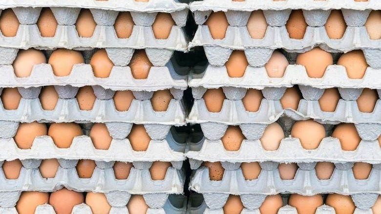 Terkontaminasi Salmonella, 200 Juta Telur Ditarik dari Pasar AS Terkontaminasi Salmonella, 200 Juta Telur Ditarik dari Pasar AS