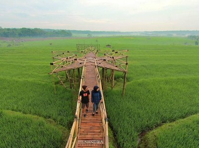 Beginilah Sawah Zaman Now Beginilah Sawah Zaman Now