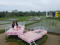 Beginilah Sawah Zaman Now