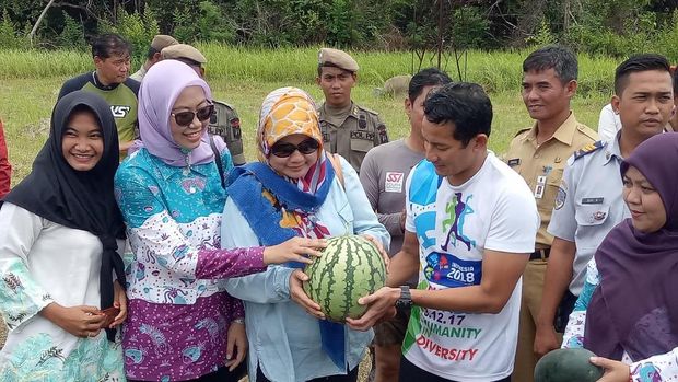 Sandiaga juga memanen semangka.