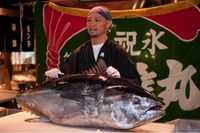 Pasar Kuroshio, Wakayama. Informasi lebih lanjut klik di sini.