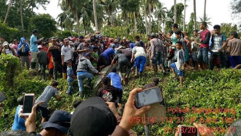 Diduga Terkam Warga, Buaya di Kaltim Ditembak Diduga Terkam Warga, Buaya di Kaltim Ditembak