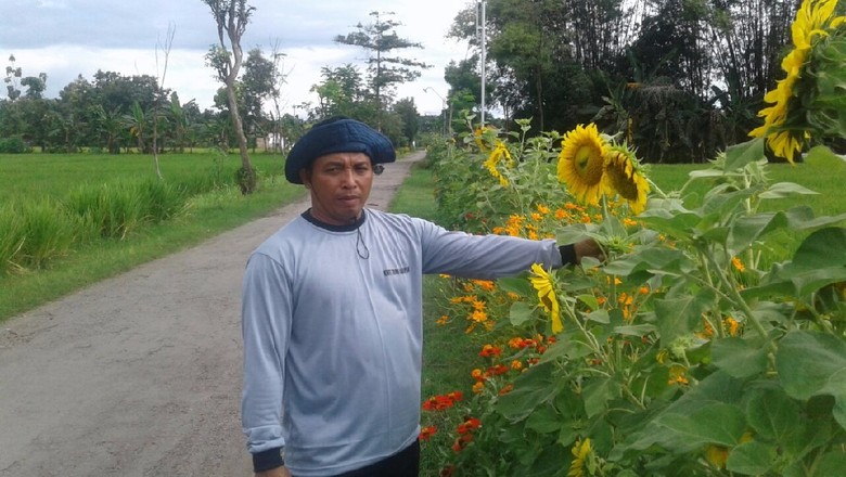 Minimalkan Pestisida, Petani Ini Tanam Bunga untuk Usir Hama minimalkan