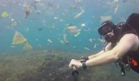 Duh Malunya, Sampah di Laut Bali Jadi Pemberitaan Media Dunia