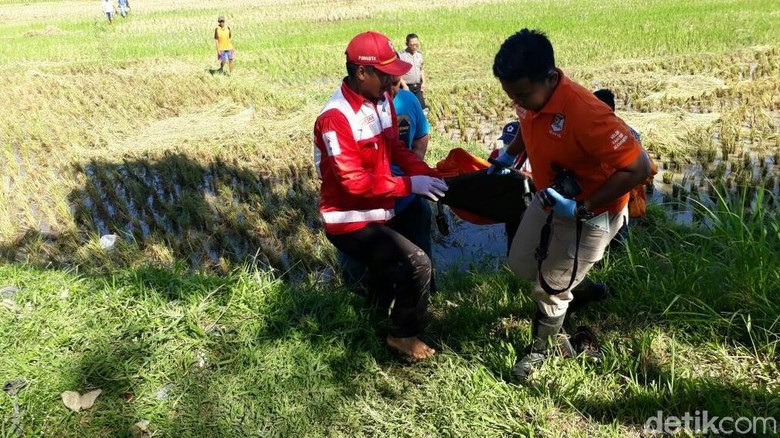 Pelaku Pembunuh Ibu Kandung di Kebumen Dibekuk Polisi Pelaku Pembunuh Ibu Kandung di Kebumen Dibekuk Polisi