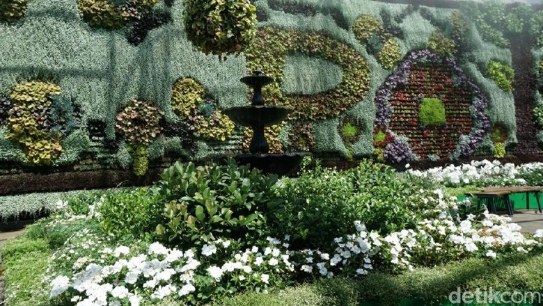 Foto: The Royal Botanical Garden Sydney (Aditya Mardiastuti/detikTravel) Foto: The Royal Botanical Garden Sydney (Aditya Mardiastuti/detikTravel)