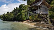 Di Sini Tempat Terbaik Melihat Paus Di Sini Tempat Terbaik Melihat Paus
