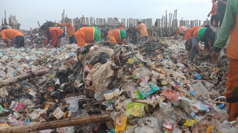 Lautan Sampah di Teluk Jakarta Mulai Dibersihkan Lautan Sampah di Teluk Jakarta Mulai Dibersihkan