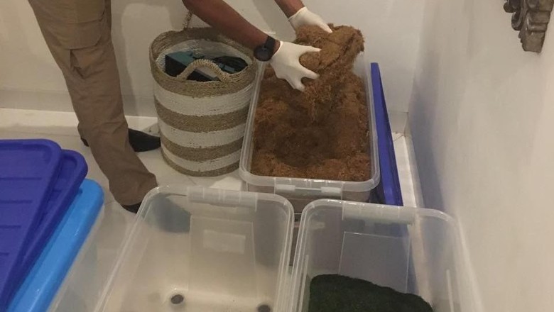 Home Industry Ganja Sintetis di Bali Diracik 2 Remaja Home Industry Ganja Sintetis di Bali Diracik 2 Remaja