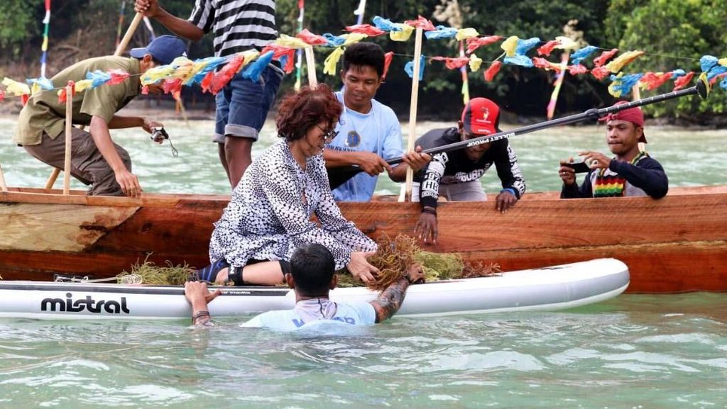 Ke Papua, Menteri Susi Tinjau Program dan Panen Rumput Laut Ke Papua, Menteri Susi Tinjau Program dan Panen Rumput Laut