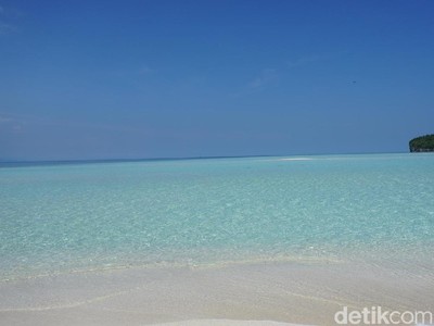 Foto: Keajaiban Pasir Timbul di Tengah Laut Raja Ampat Foto: Keajaiban Pasir Timbul di Tengah Laut Raja Ampat