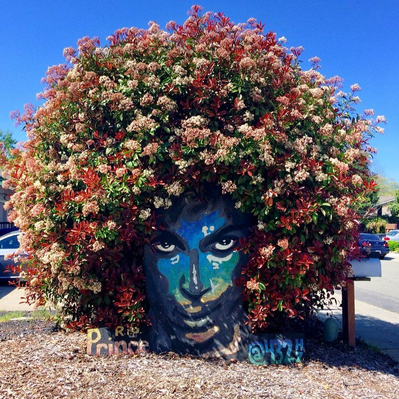 Bunga Bermekaran Hiasi Mural Penghormatan untuk Musisi Prince Bunga Bermekaran Hiasi Mural Penghormatan untuk Musisi Prince