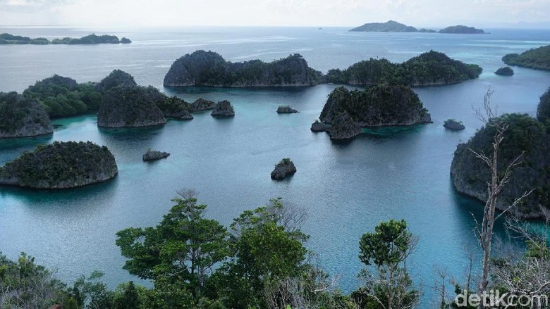 Piaynemo di Raja Ampat (Shinta/detikTravel) Piaynemo di Raja Ampat (Shinta/detikTravel)