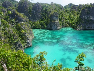Yang Juga Cantik di Raja Ampat: Telaga Bintang Yang Juga Cantik di Raja Ampat: Telaga Bintang