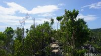 Yang Juga Cantik di Raja Ampat: Telaga Bintang