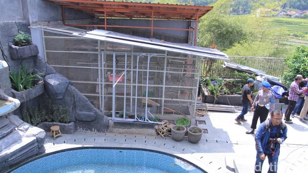 Rumah Mewah Big Bos Miras Disegel, Burung Samsudin Mati Rumah Mewah Big Bos Miras Disegel, Burung Samsudin Mati