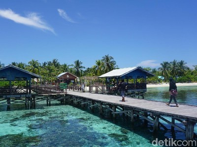 Pagi-pagi Lihat Foto Arborek, Jadi Pengen ke Raja Ampat Pagi-pagi Lihat Foto Arborek, Jadi Pengen ke Raja Ampat