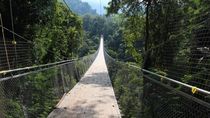 Jembatan Paling Instagenik di Sukabumi, Situ Gunung Jembatan Paling Instagenik di Sukabumi, Situ Gunung