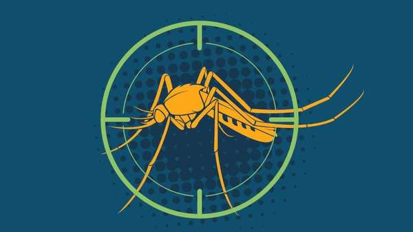 Infografis: Fakta Seputar Malaria di Indonesia Infografis: Fakta Seputar Malaria di Indonesia